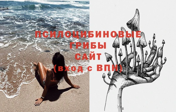 гидра Иннополис