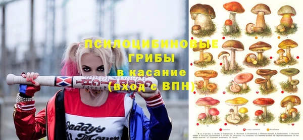 СК Инсар