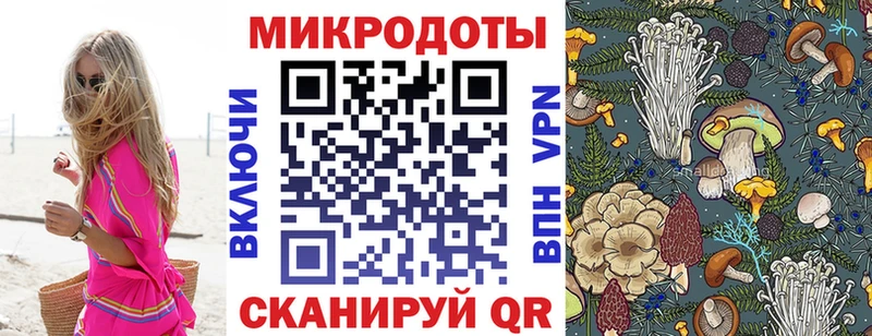 Купить где  Ельня  Псилоцибиновые грибы MAGIC MUSHROOMS 